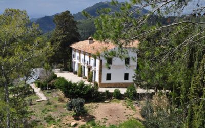 Aula de Naturaleza Las Contadoras: Una experiencia única en los Montes de Málaga