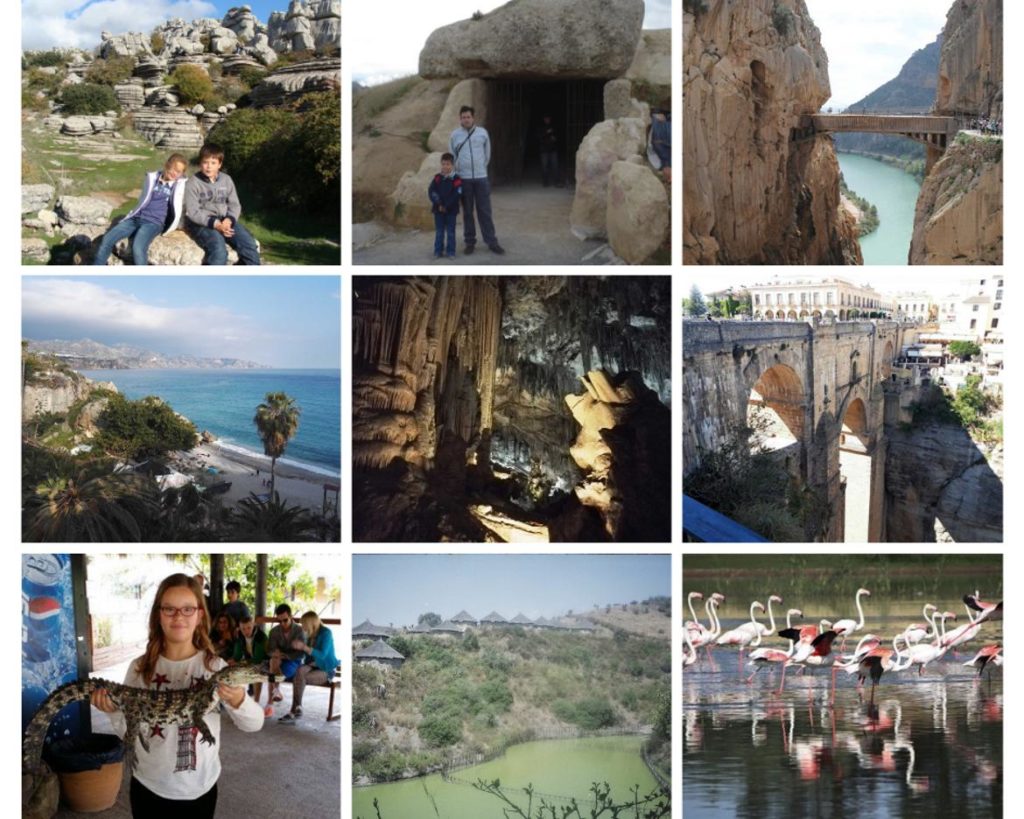 Collage of experiences that can be made in the province of Malaga