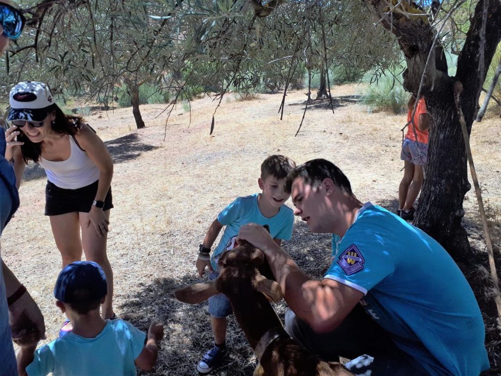 Shepherd explaining curiosities of the native Malaga goat