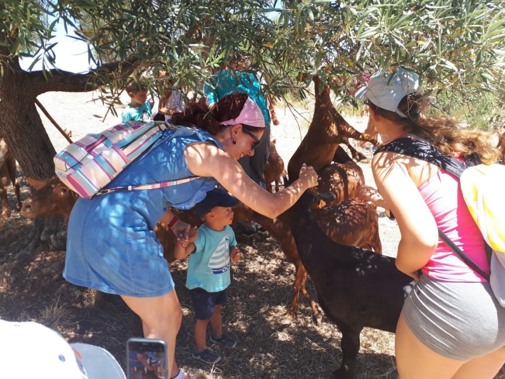 Familia acariciando cabras