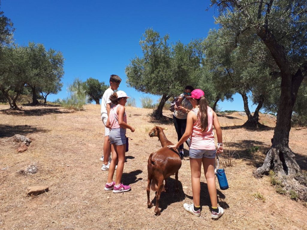 Family enjoying the Malaga goat guided tour