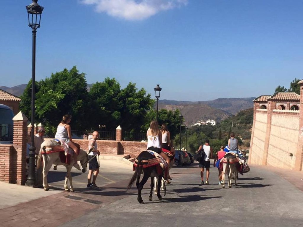 Paseo en burro-taxi por Comares en Málaga