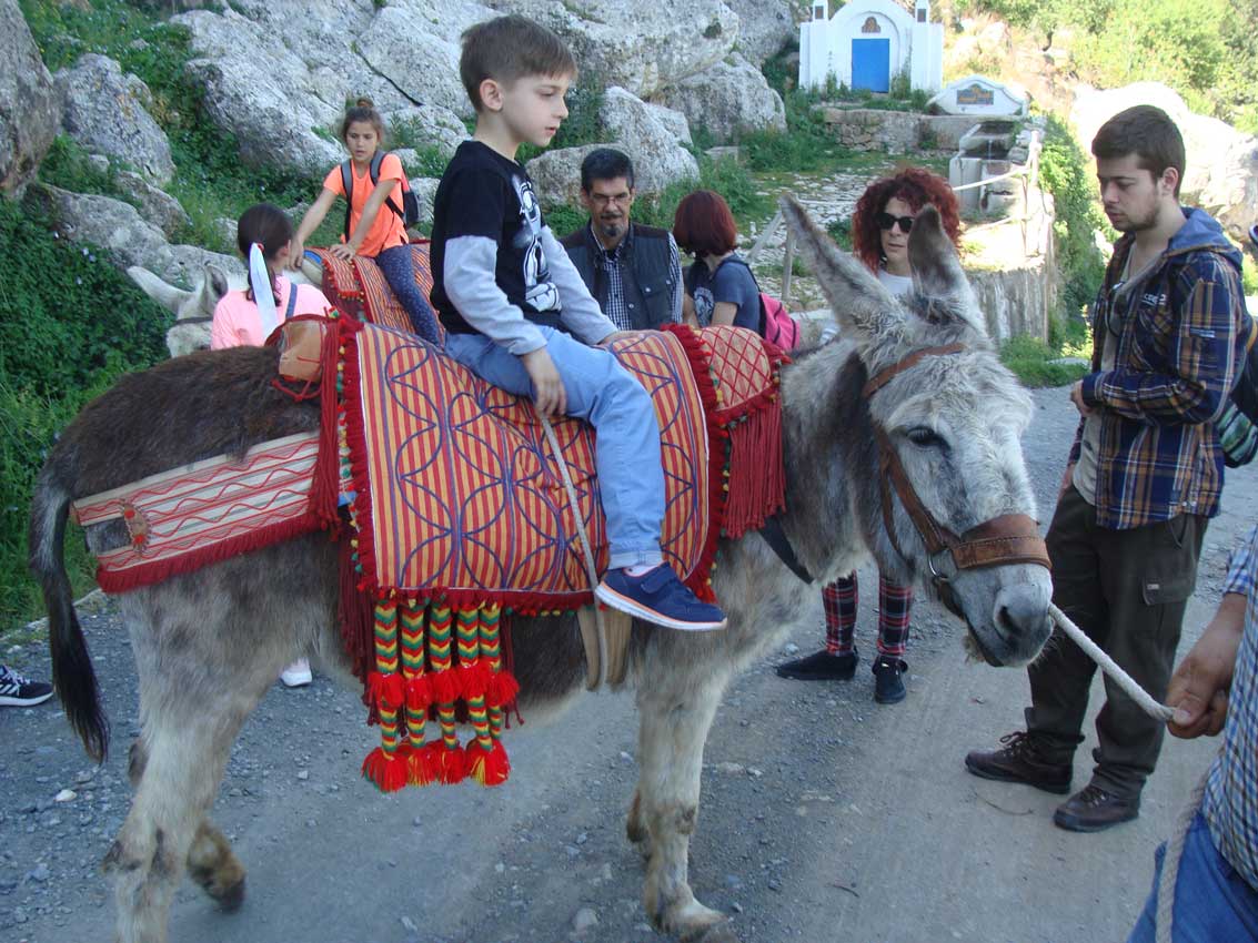 Experiencias en Comares - Imagen 8